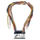 PAM Multi-Voltage Encapsulated Relays
